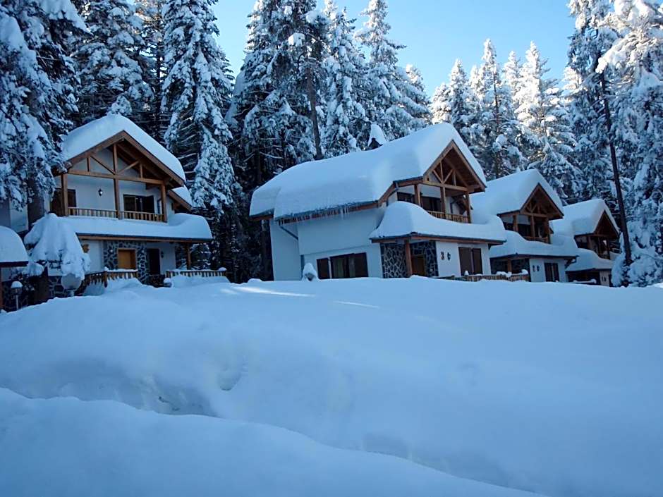 Saint George Holiday Village