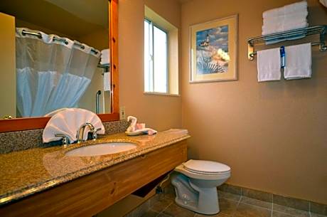 1 King Bed Non-Smoking Pet Friendly Room Microwave And Refrigerator Wi-Fi Full Breakfast