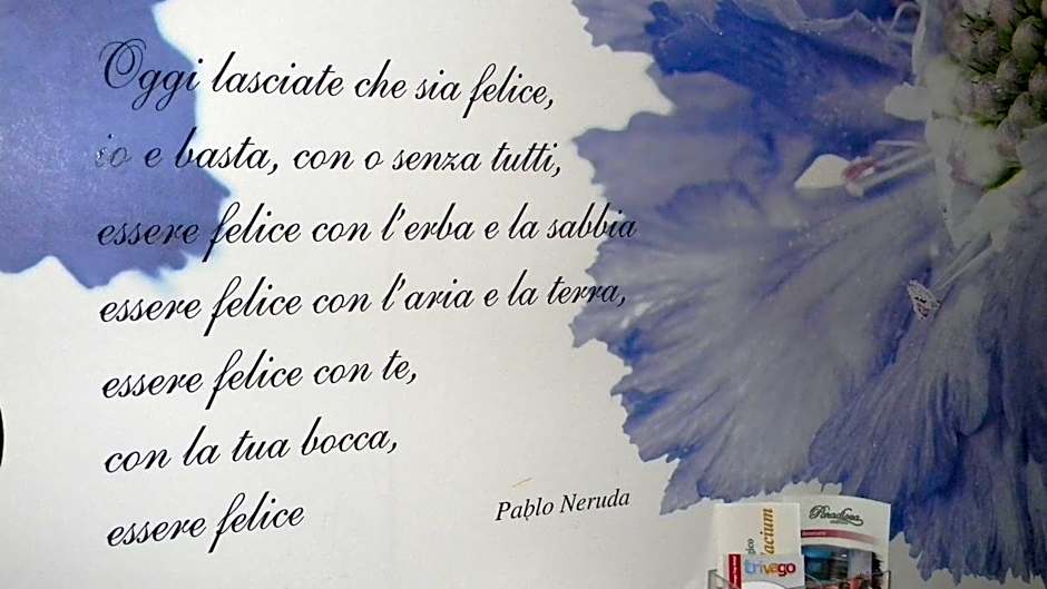 Grand Hotel Paradiso