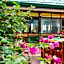 Hotel La Rosa de America
