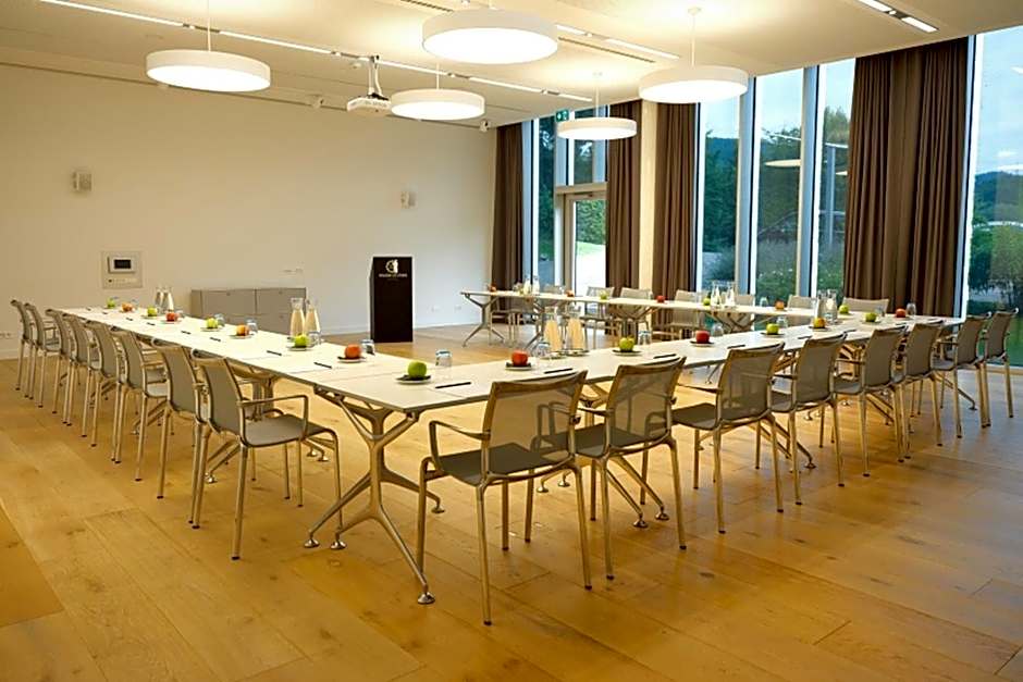 Modern Times Hotel, Vevey, a Tribute Portfolio Hotel