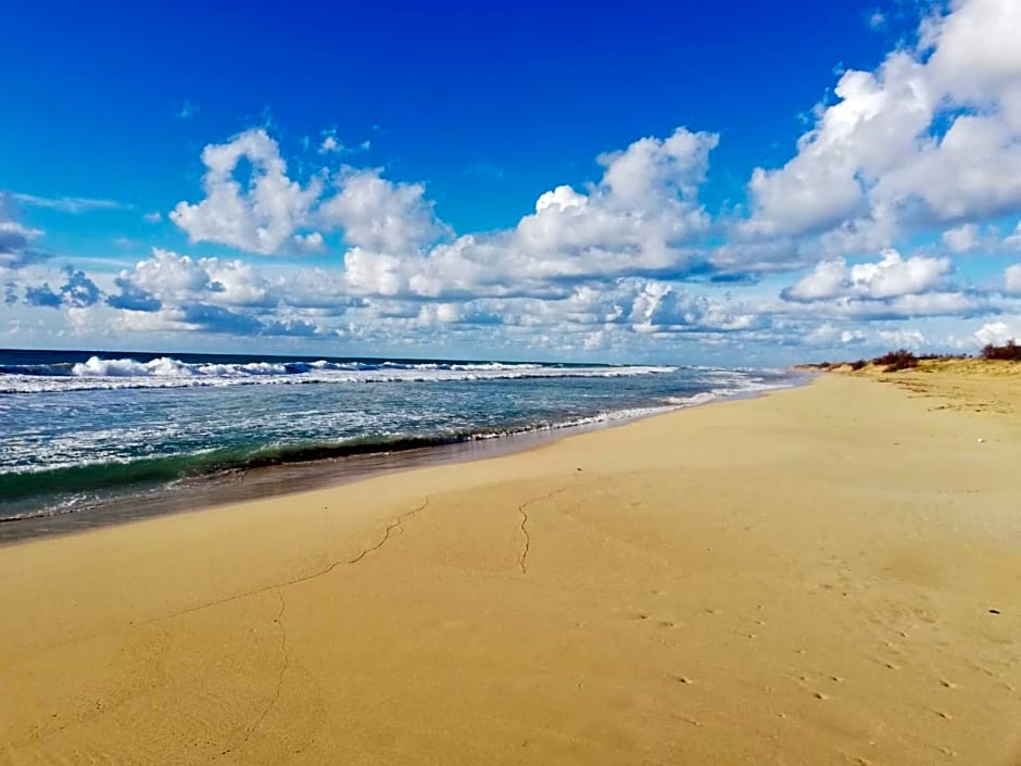 Antica Masseria Ficazzana - Tenuta