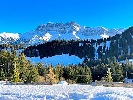 Mountain River Appart