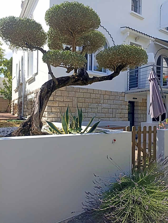 Chambres d'Hôtes LA PASTOURELLE Royan centre