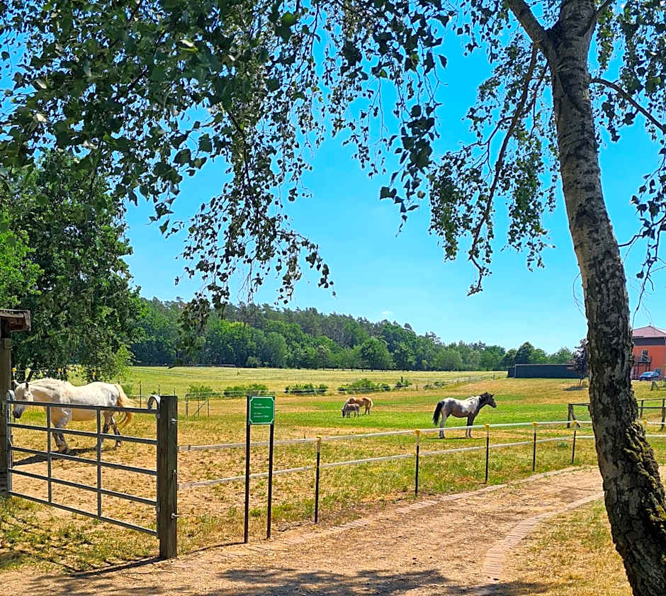 Kur-& Landhotel Borstel - Treff