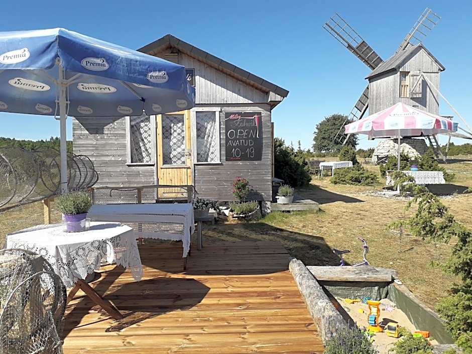 Ohessaare Windmill -Experience accommodation