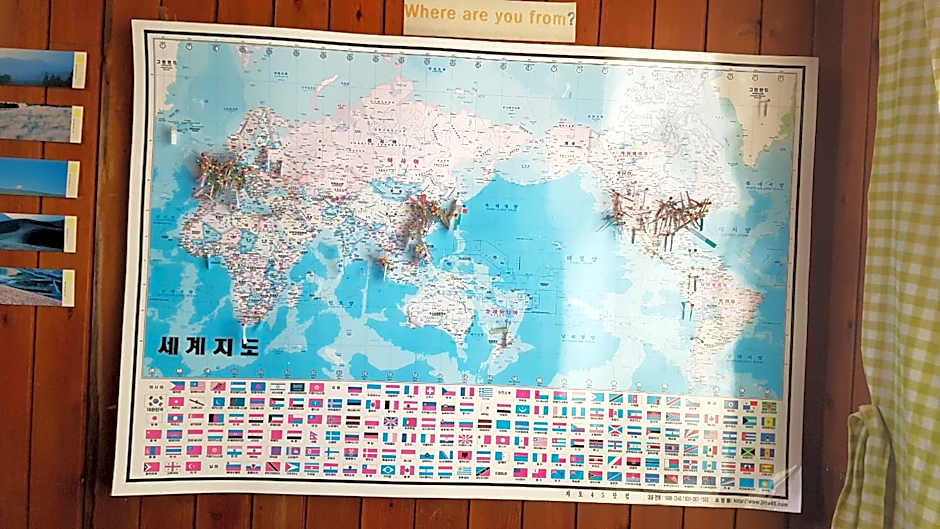 Guesthouse Spring Flower