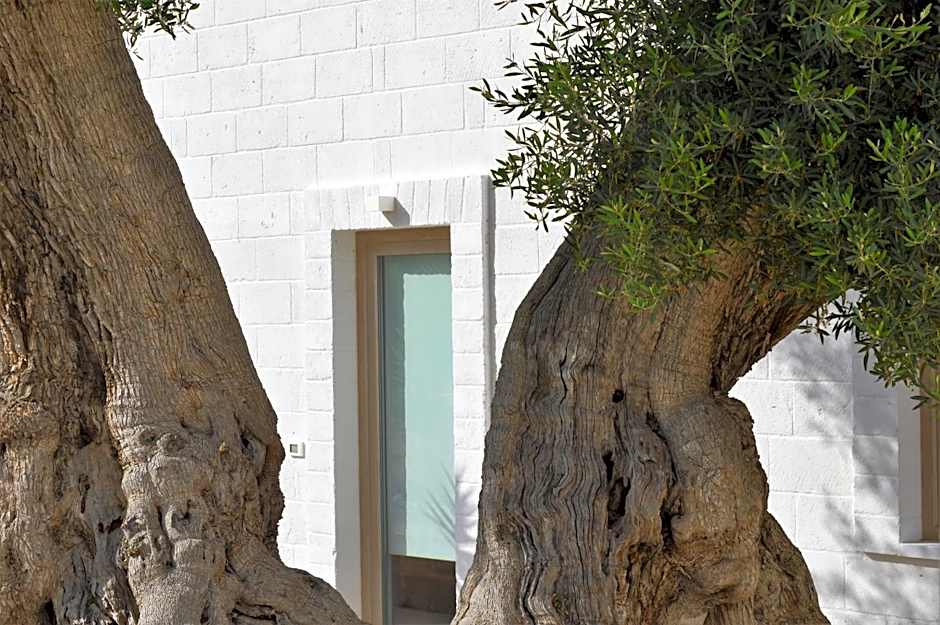 Masseria Torrepietra