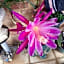 Mundaring Bed and Breakfast