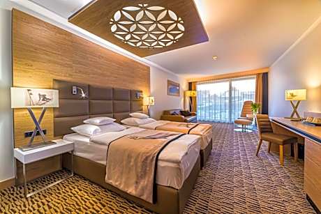 Executive Double or Twin Room