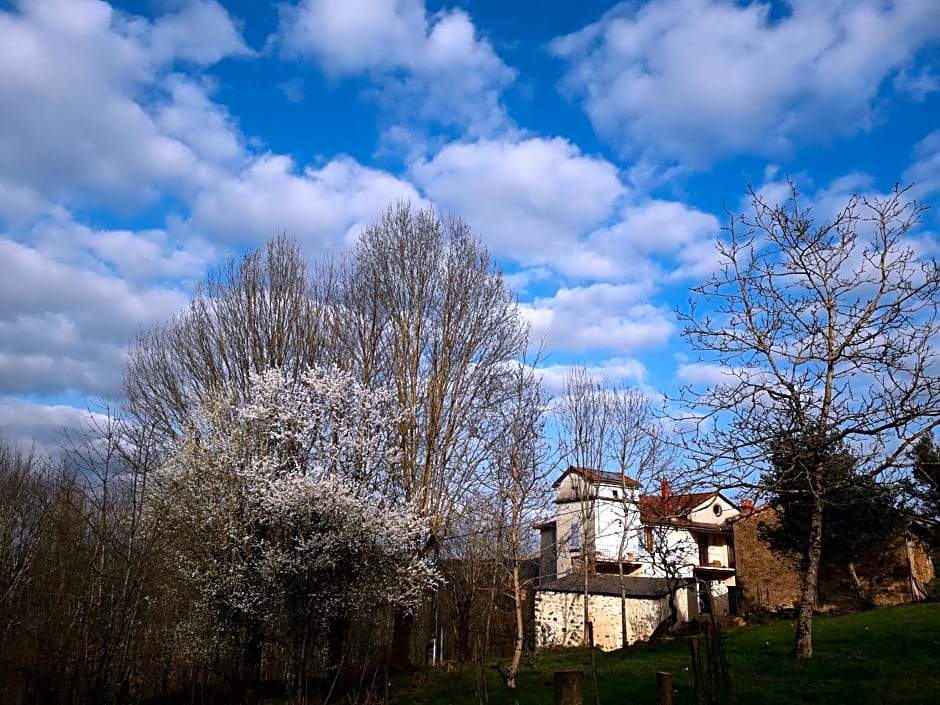 DUC MANOIR Chambres d'hôtes