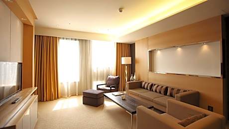 One-Bedroom King Suite with Living Area