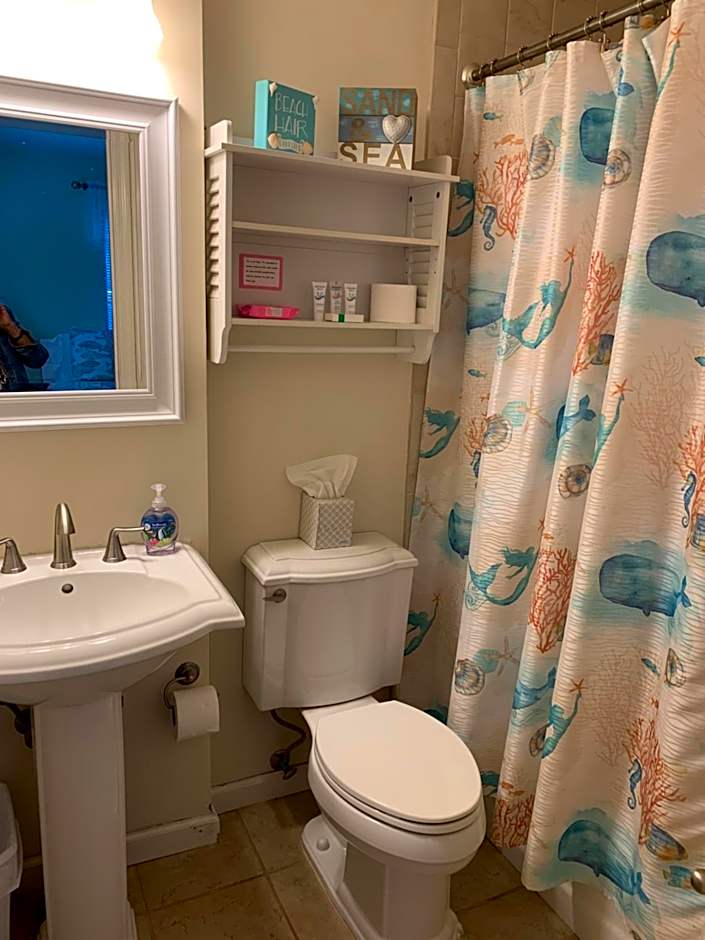 Beautiful Hilton Head Condo, Steps from Ocean, 1st Floor, 2bd / 2ba, and more!