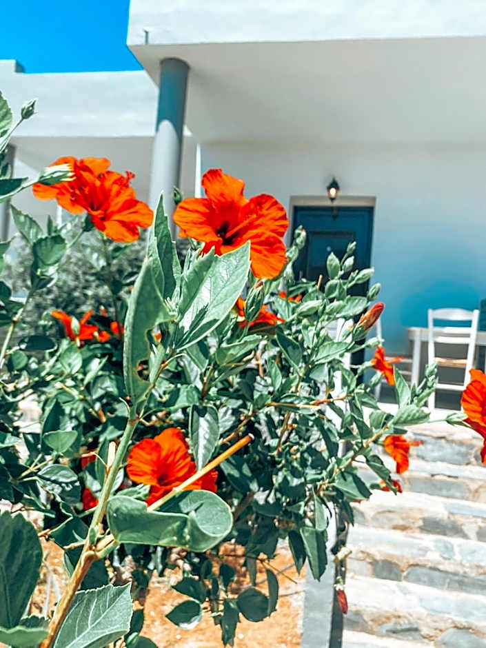 Elafonisi Rooms For Rent