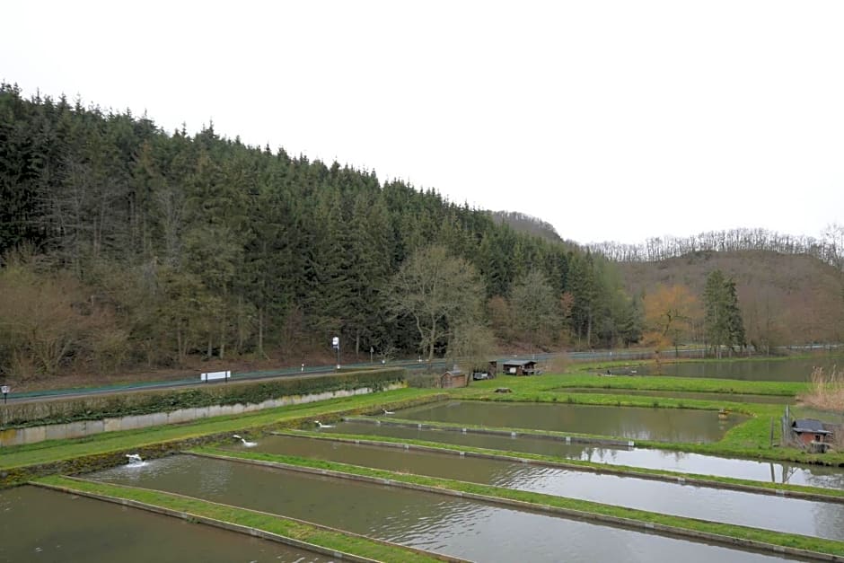 Zimmer ohne Frühstück in der Forellenzucht