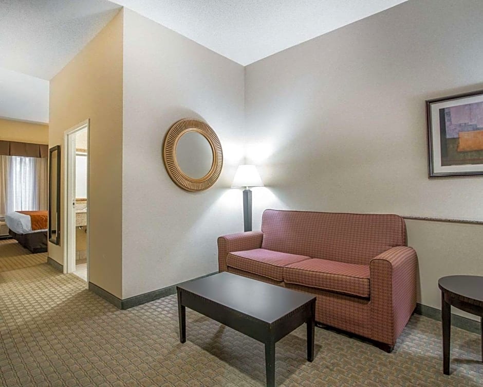 Comfort Suites Vestal near University