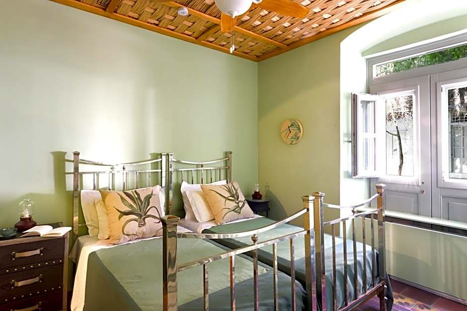 Cactus Hydra - Art Apartments