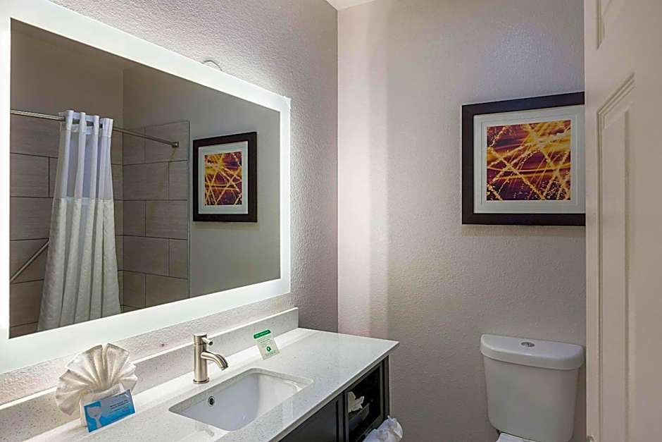 Comfort Suites Vista Ridge Mall