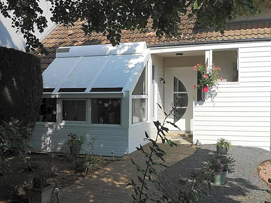 Les Eléphants bleus