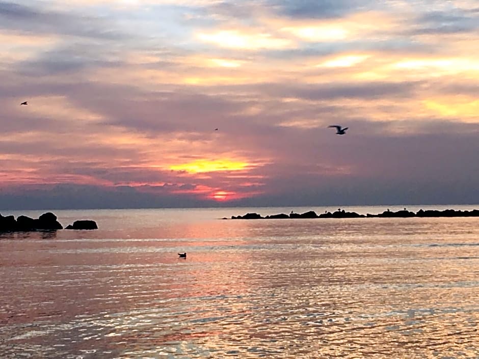 La casa di Celeste B&B