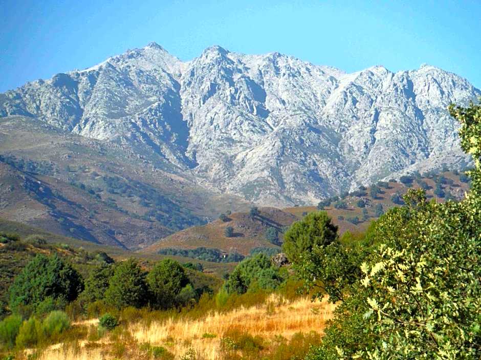 El Rincón de los Riveros