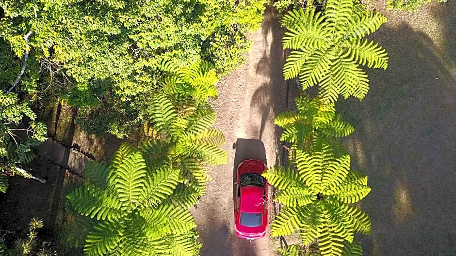 Chambers Wildlife Rainforest Lodges