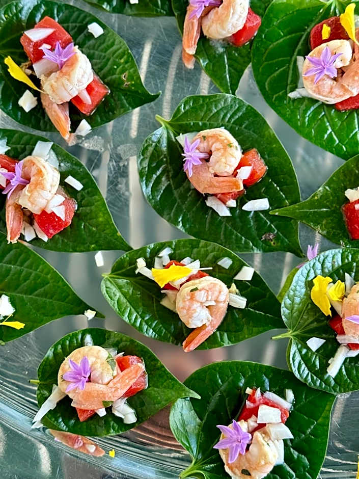 Mavis's Cabins @ Mt Warning