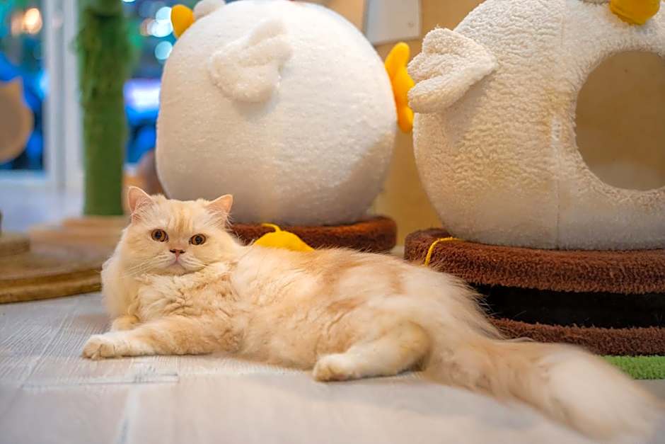 Patong Beach Side Hotel