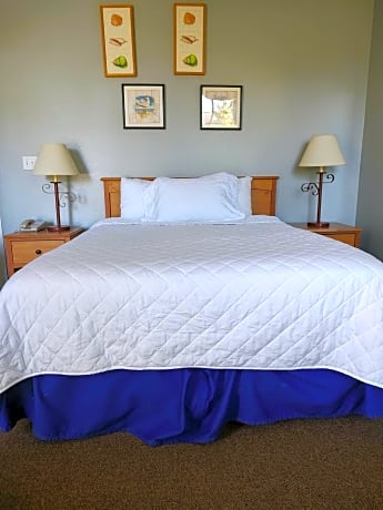 Studio with Queen Bed - Studio 105