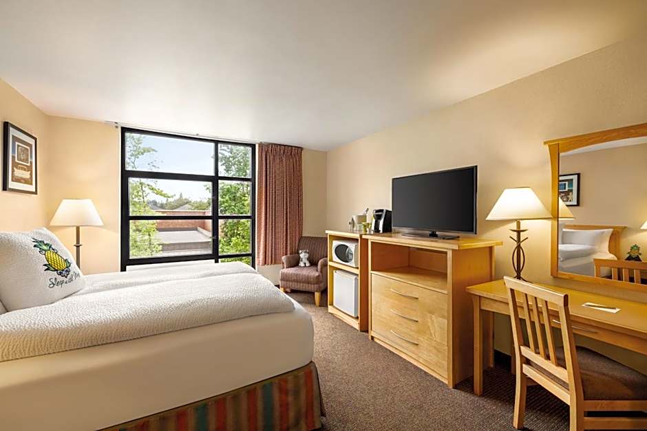 University Inn - A Staypineapple Hotel