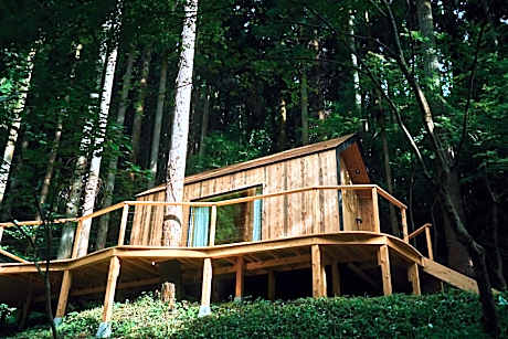 Double Room with Two Double Beds