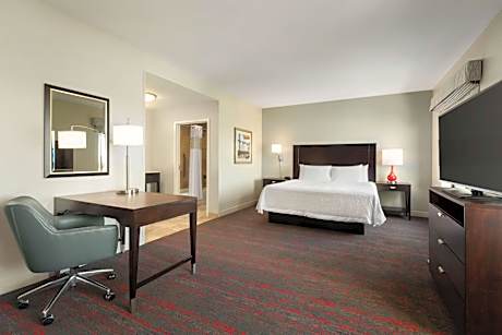 King Studio Suite with Sofa Bed - Non-Smoking