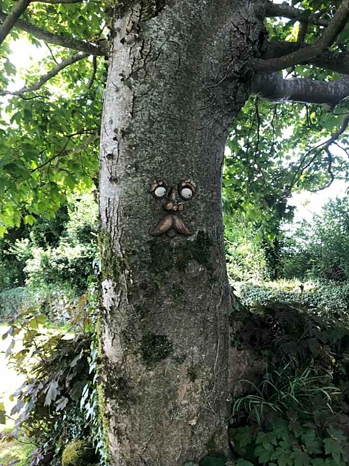 St Kyrans Guest House