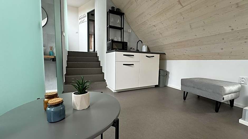 Family Apartments Černice