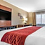 Comfort Inn & Suites Leeds I-20