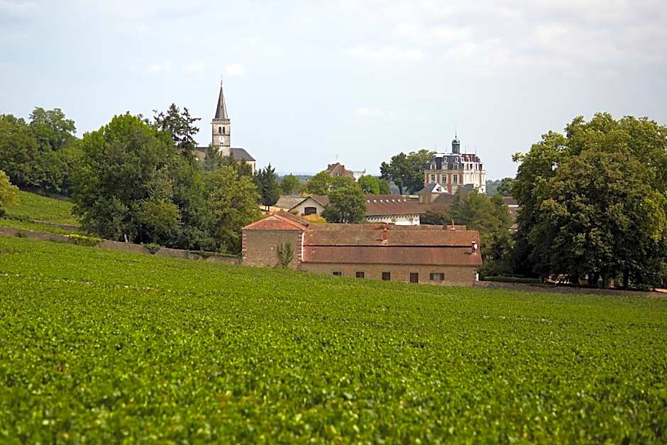 Château Saint-Michel - Cercle des Grands Crus