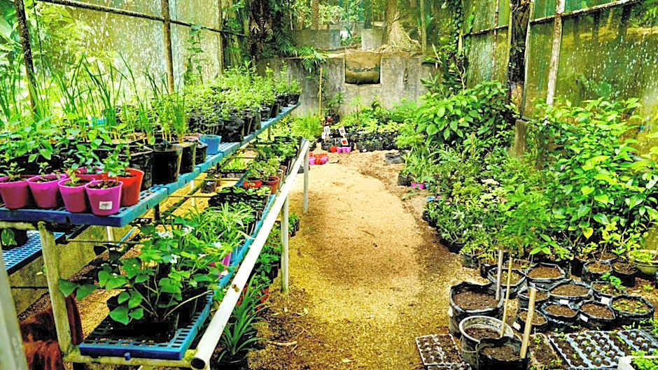 Mirisbiris Garden and Nature Center