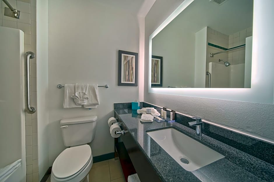 Wingate by Wyndham Round Rock Hotel & Conference Center