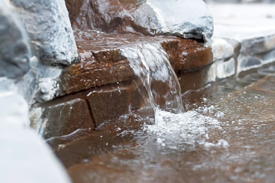 Wyndham Garden Nagaizumi