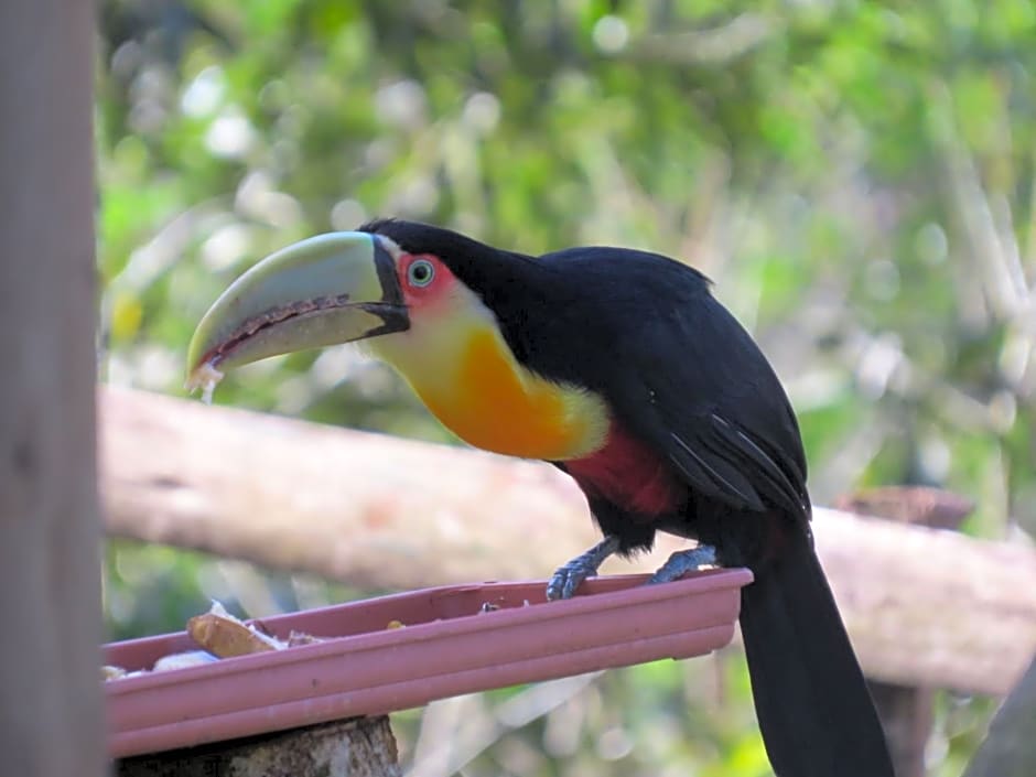Chalé Envidraçado no Itaimbezinho