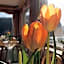 Hotel Cafe Restaurant Loreleyblick