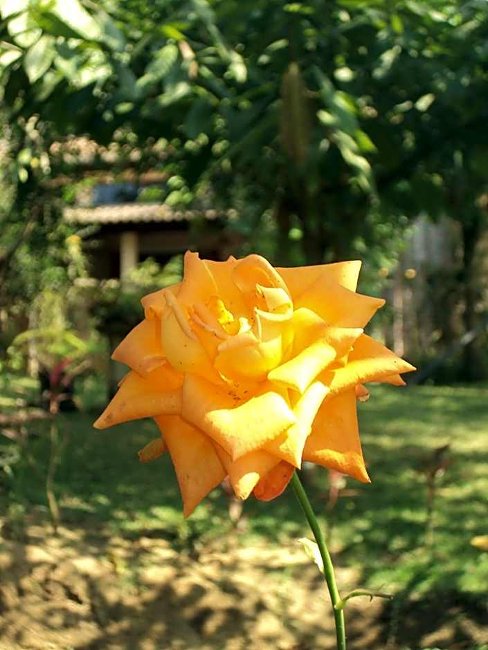 Pousada Ponte Branca