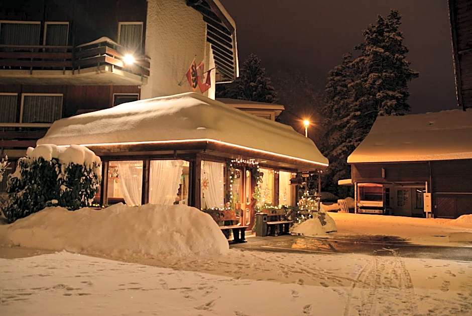 Hotel Chalet Swiss
