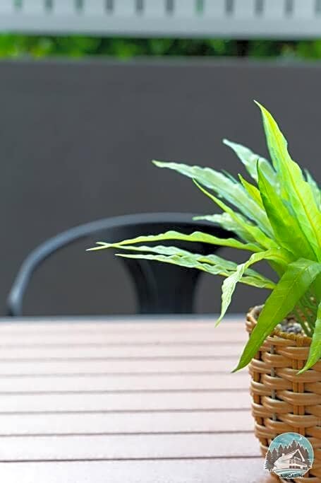 Aircabin - Wentworthville - 2 Beds Apt Free Park