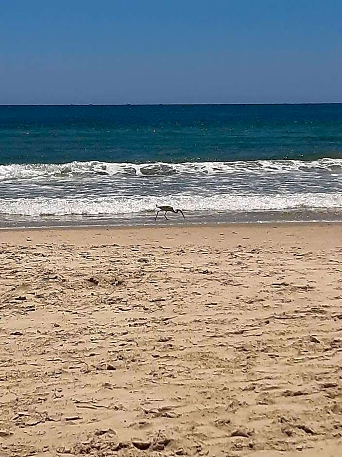 Casa completa perto da praia