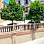 Casa Alice Salar