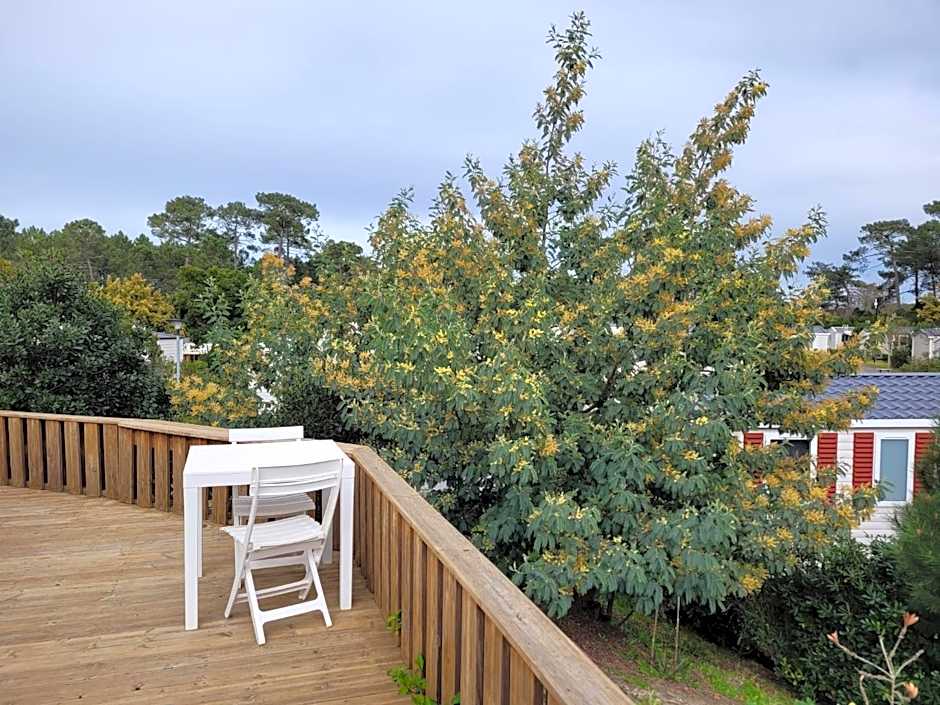 Vue bassin Arcachon mobil-home top 8 personnes by Vayny