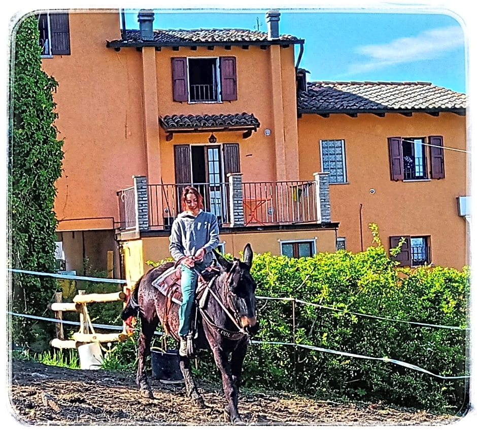 Bed and Breakfast Balli coi Lupi