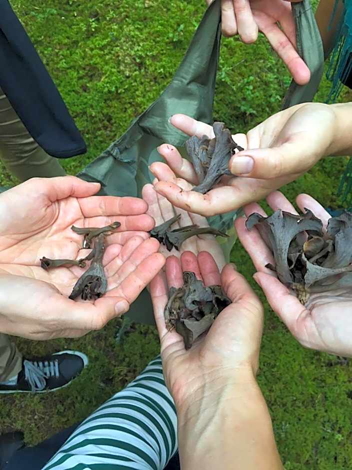 Handlarens villa - Vandrarhem de luxe