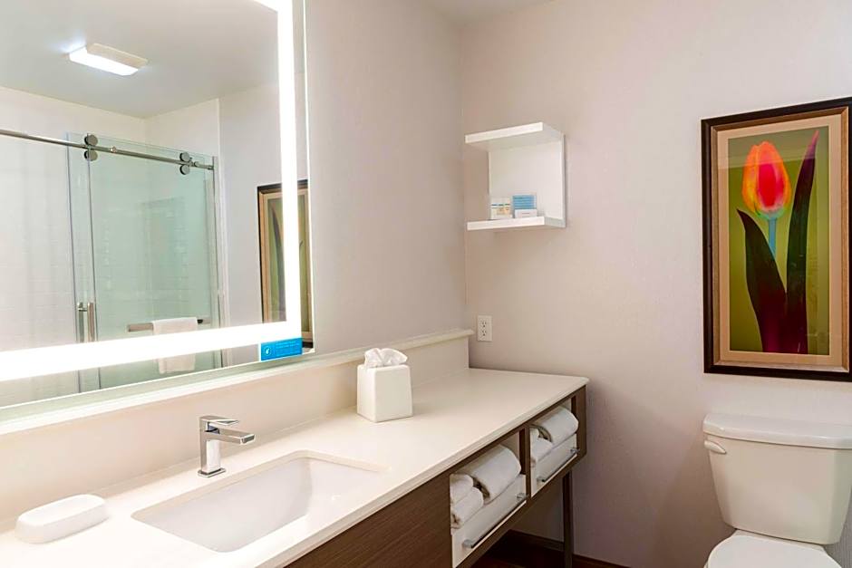 Hampton Inn By Hilton Holland